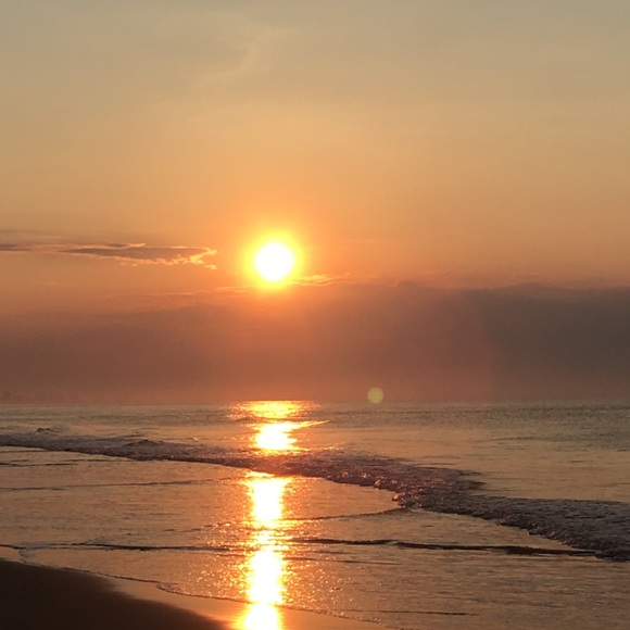 Meet your Posher, Denali - Picture 1 of 1